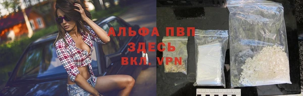 мяу мяу мука Майский