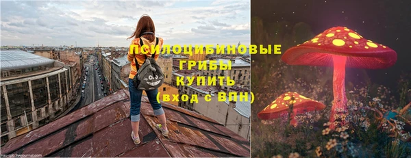 ГАЛЛЮЦИНОГЕННЫЕ ГРИБЫ Магас