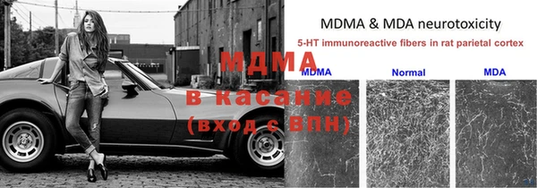 мяу мяу мука Майский