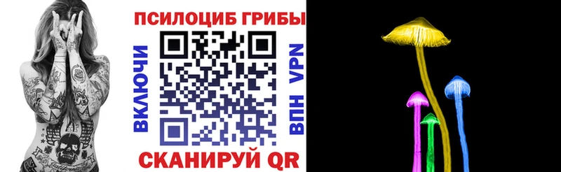 хочу наркоту  это наркотические препараты  Псилоцибиновые грибы мицелий  Чулым 